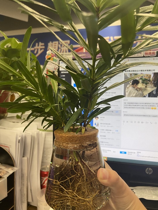 InsertPic_6EB1(0(03-31-16-05-53)